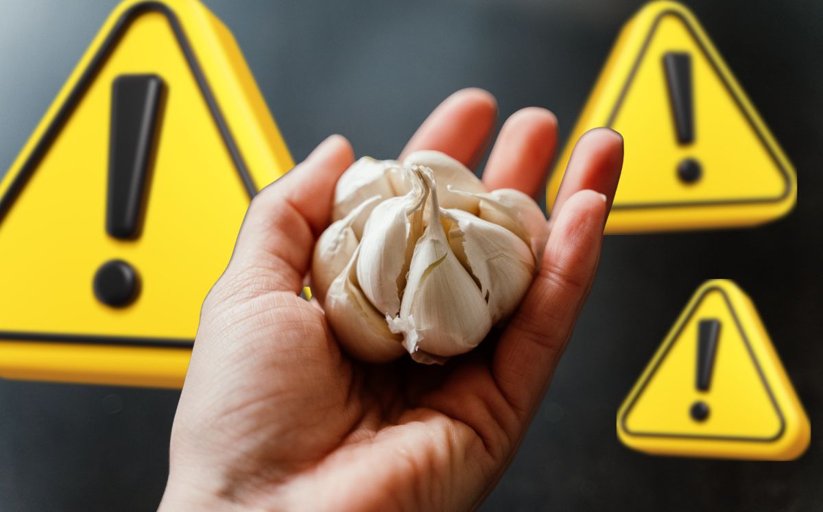 Autoridades alertan sobre ajo contaminado con bacteria mortal (Getty Images)