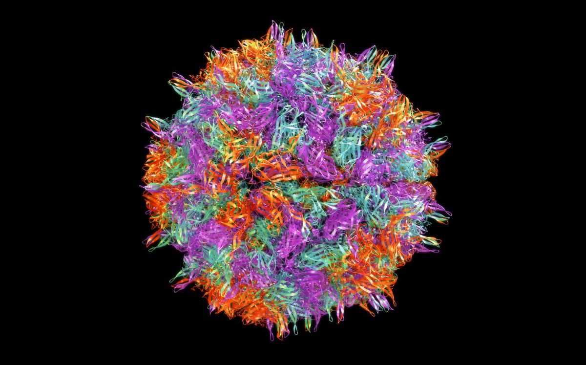 El CMNV, un virus marino, da el salto a humanos y provoca graves infecciones oculares (Getty Images)