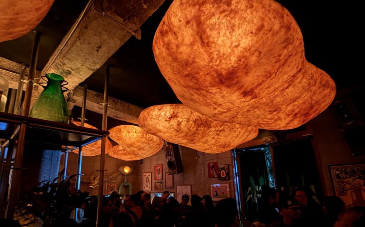 Experiencia nocturna en Pistilo CDMX