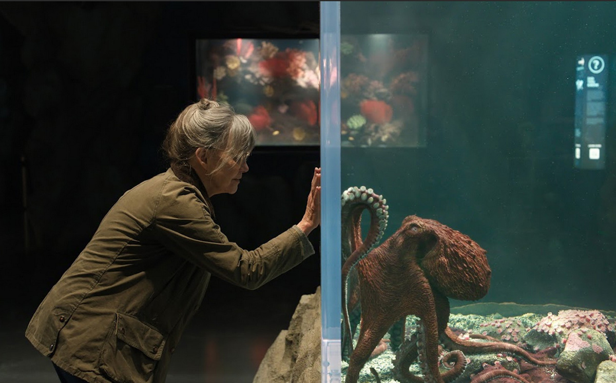 Encuentra aquí la lista completa de estrenos que trae Netflix este mayo de 2026 (Foto: Netflix)