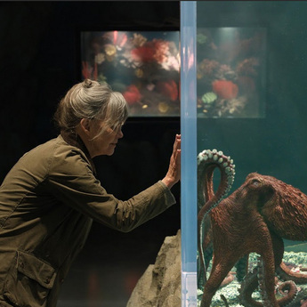 Encuentra aquí la lista completa de estrenos que trae Netflix este mayo de 2026 (Foto: Netflix)