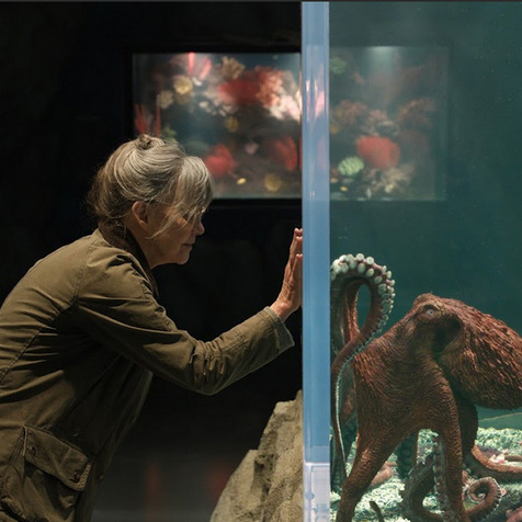Encuentra aquí la lista completa de estrenos que trae Netflix este mayo de 2026 (Foto: Netflix)
