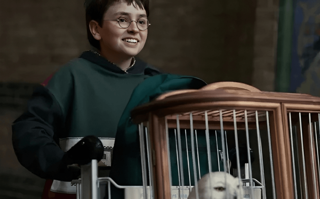 HBO confirma segunda temporada de "Harry Potter" (Imagen HBO)