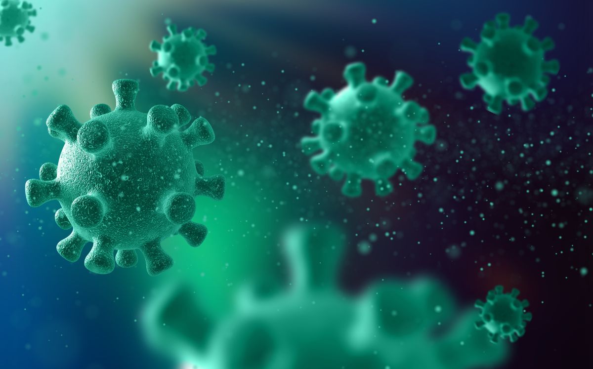 México lanza alerta por hantavirus; la OMS advierte que habrá más casos en el mundo (Foto: Freepik)