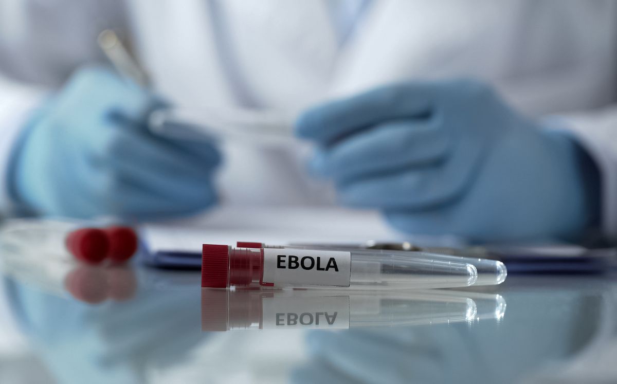 Emergencia internacional por brote de ébola; ¿cuál es el riesgo en México? (Foto: Freepik)