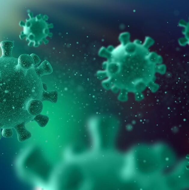 México lanza alerta por hantavirus; la OMS advierte que habrá más casos en el mundo (Foto: Freepik)