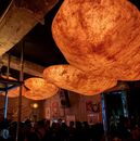 Experiencia nocturna en Pistilo CDMX