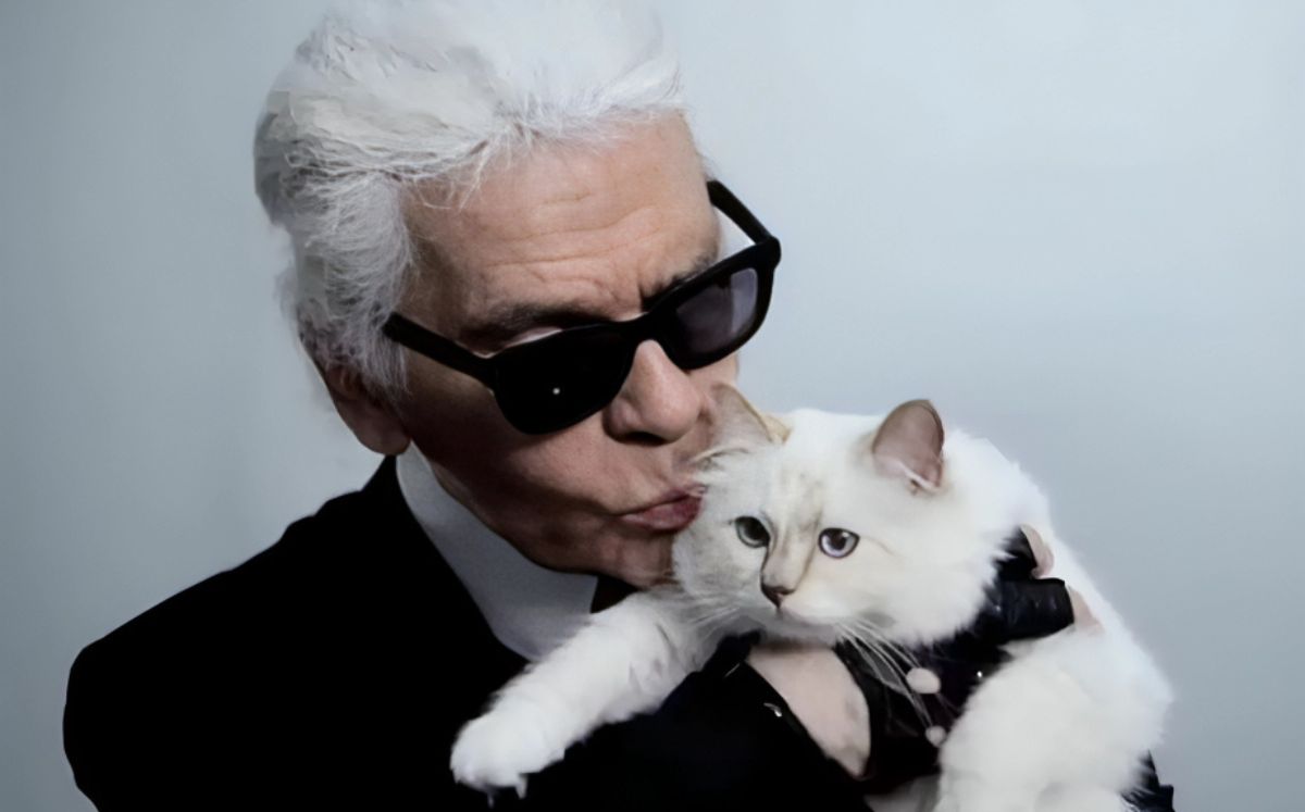 Así es la vida de la gatita Choupette tras la herencia de Karl Lagerfeld (Foto: Getty Images/IG)