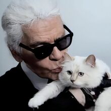 Así es la vida de la gatita Choupette tras la herencia de Karl Lagerfeld (Foto: Getty Images/IG)