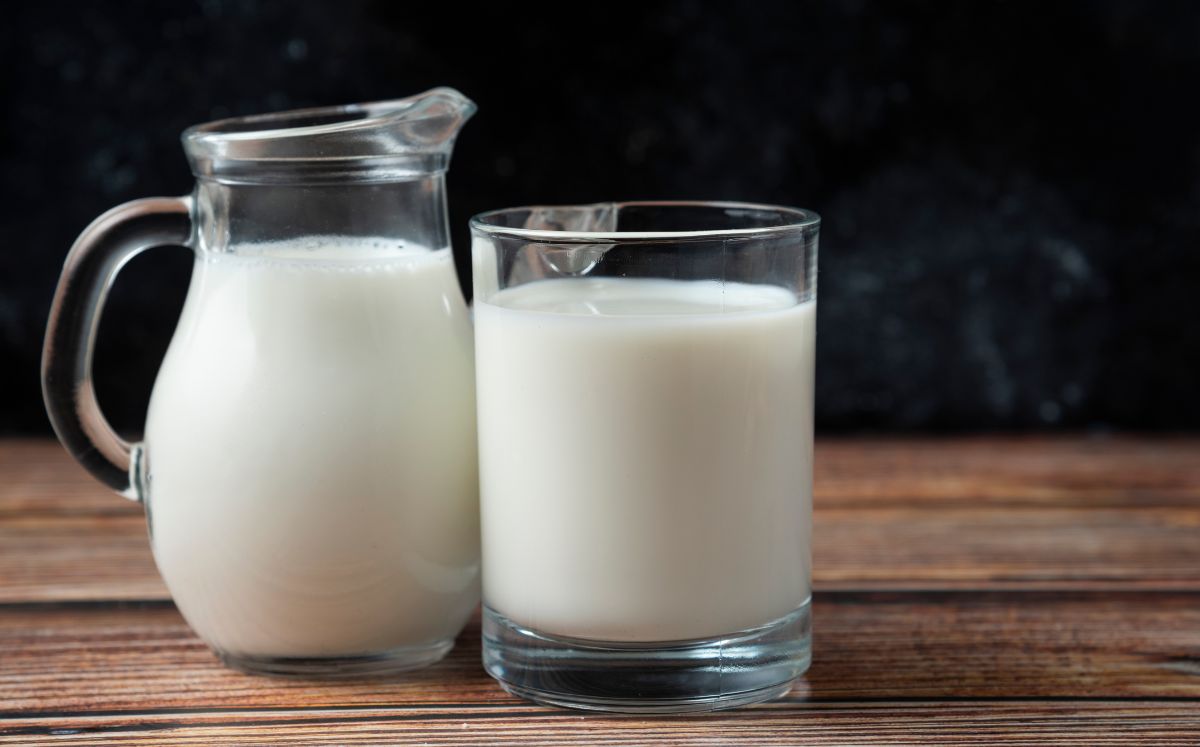 ¿Leche entera o deslactosada? Harvard revela cuál es mejor (Foto: Freepik)