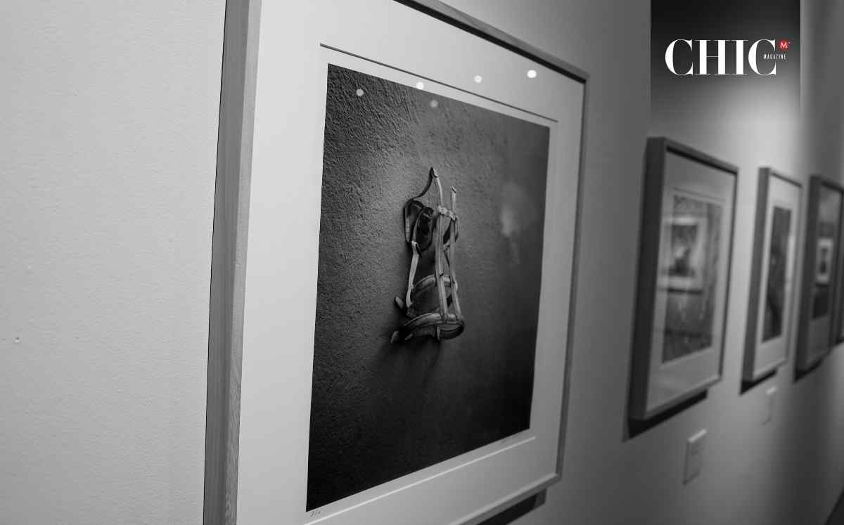 Más de 100 fotografías reunidas.