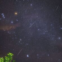 ¿Cuándo y dónde ver la lluvia de estrellas Pegásidas 2026 en vivo desde México?