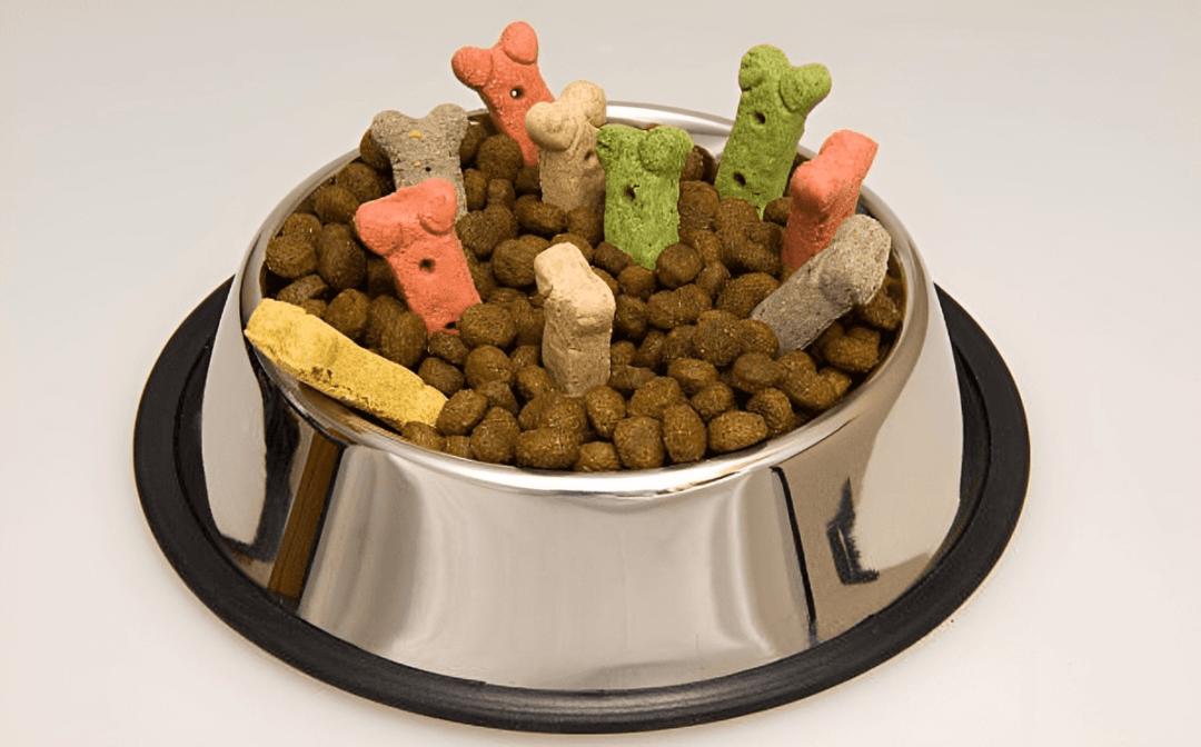 Croquetas para perro (Imagen Getty)