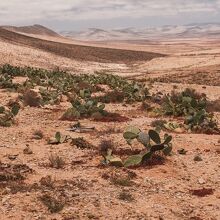 Las ciudades que serán desiertos en 2080, según la ciencia (Foto: Freepik)
