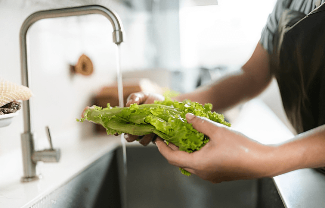 Lechuga (Imagen Getty)