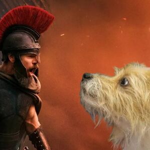 ¿Qué raza es Argos en "La Odisea" de Christopher Nolan? (Foto: 	Universal Pictures/	Syncopy Inc.)