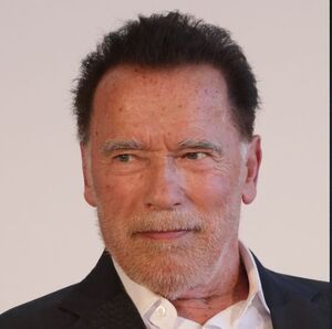 Dieta de Arnold Schwarzenegger para ganar músculo (Foto: Getty)