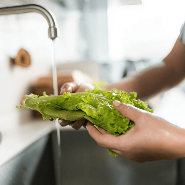 Lechuga (Imagen Getty)