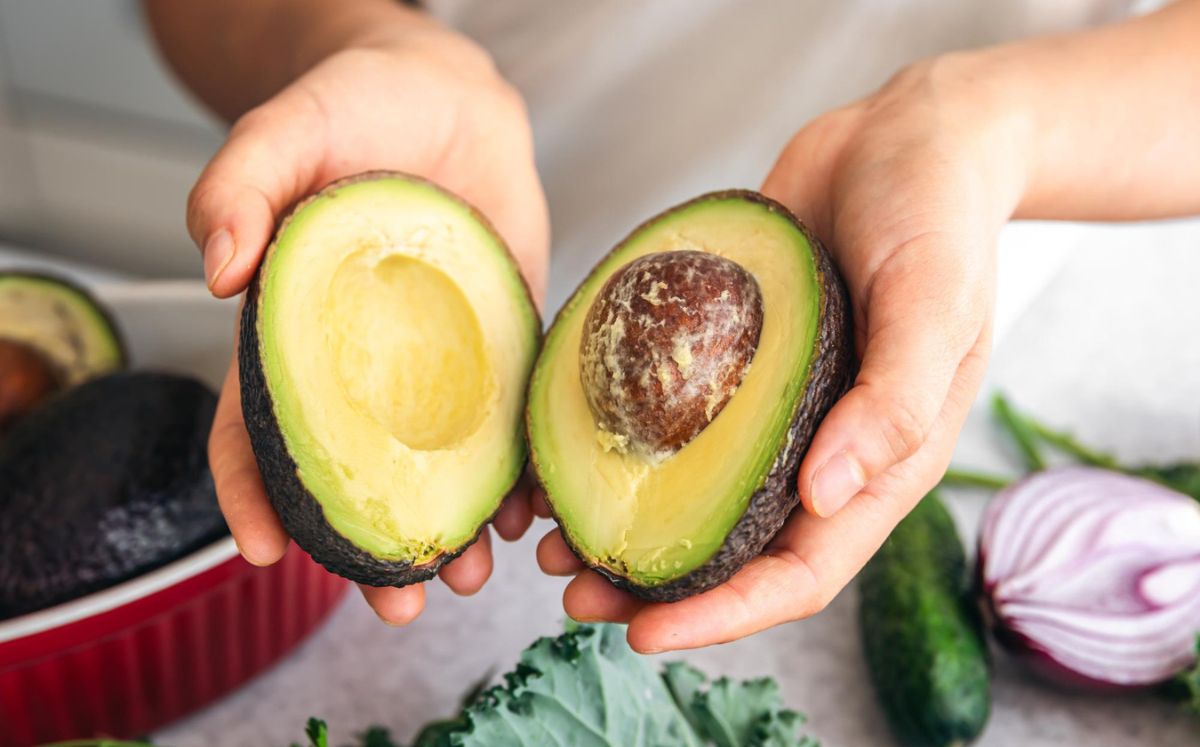 Cómo conservar el aguacate por más tiempo, según la Profeco (Foto: Freepik)