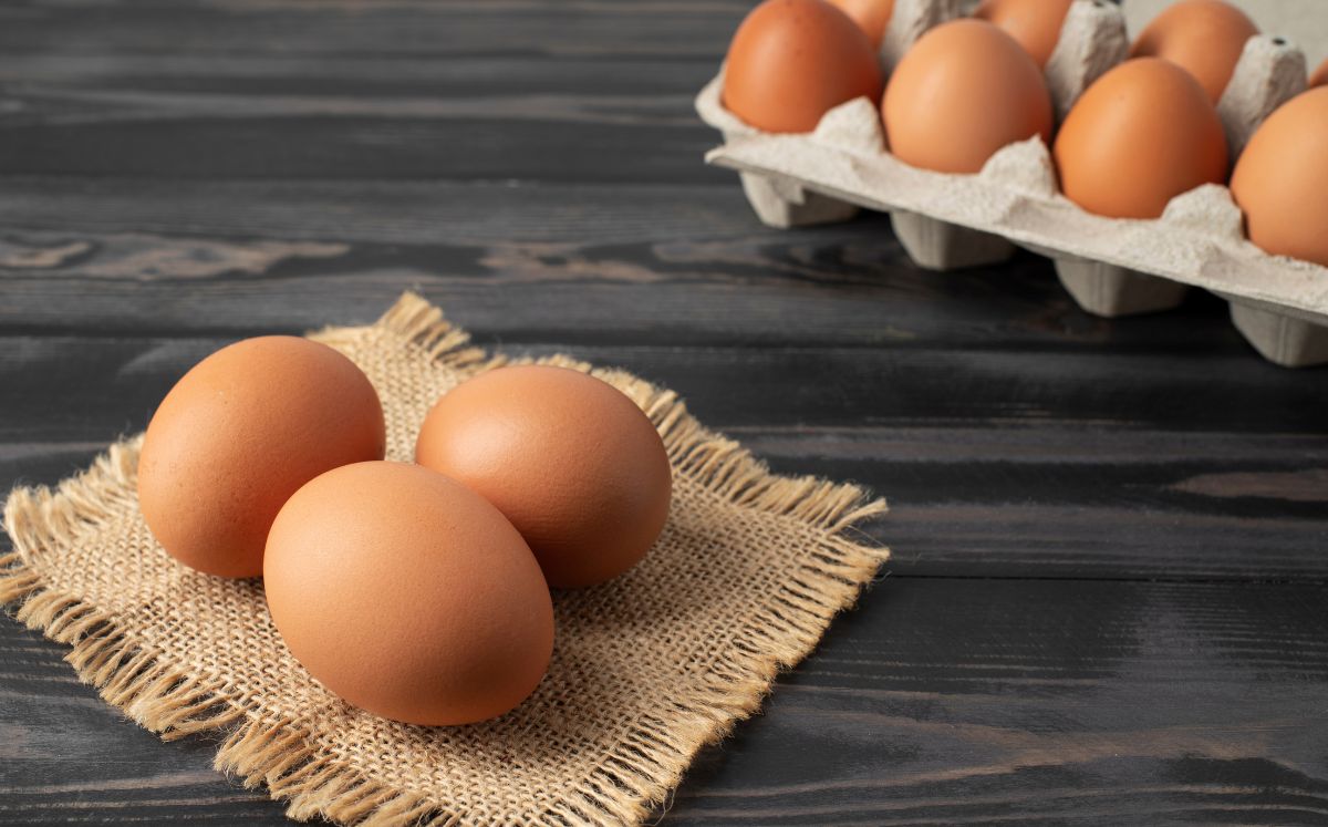 ¿Existen los huevos “pirata” en México? Así puedes identificarlos (Foto: Freepik)
