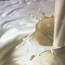 Bebidas vegetales en la cocina cotidiana