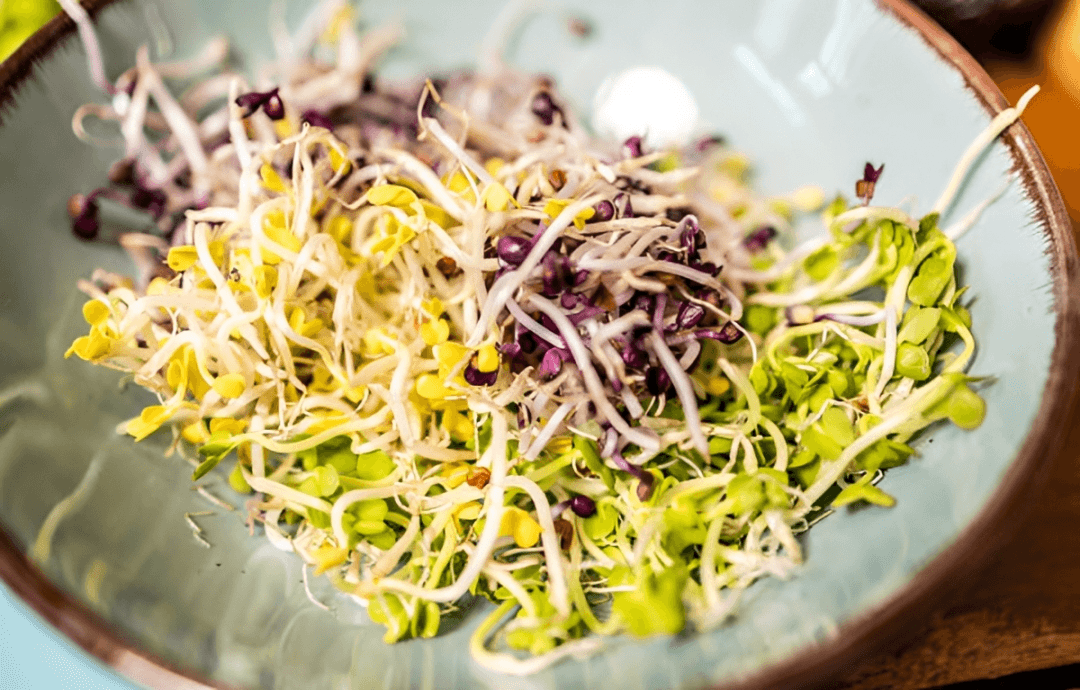 Alfalfa (Imagen Getty)