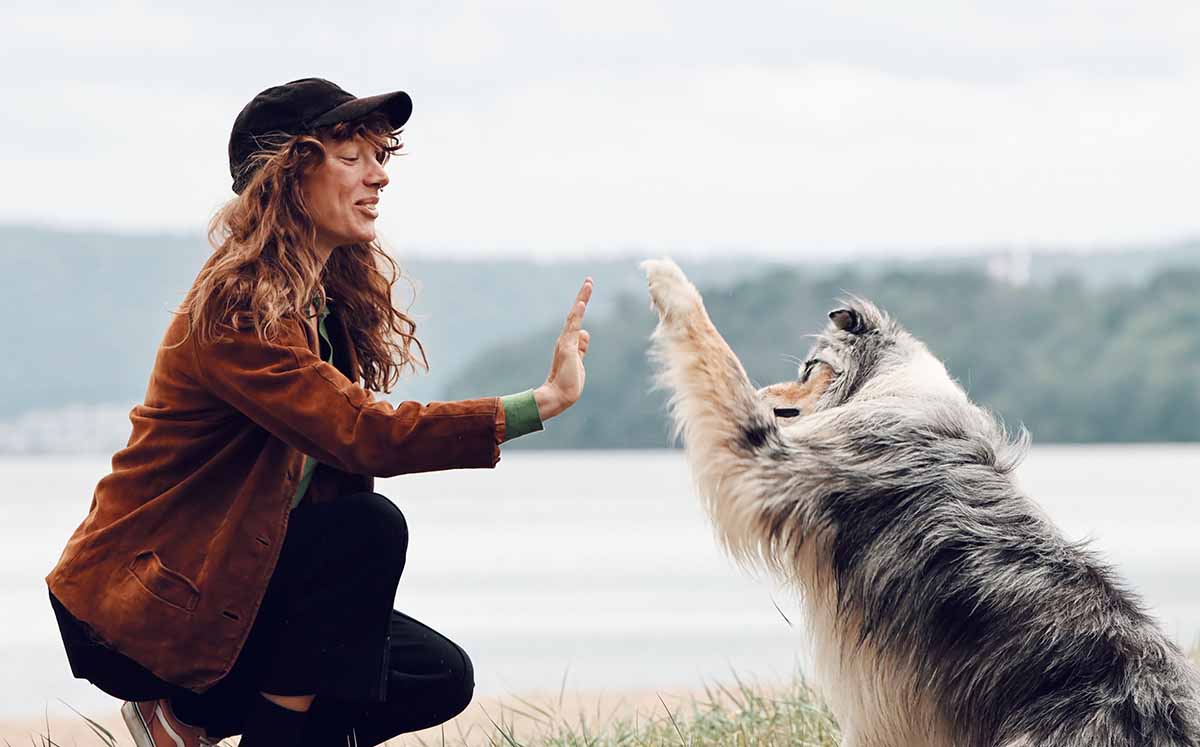 Conocer la lateralidad de tu mascota puede ayudar a comprender mejor sus necesidades y adaptar ciertas rutinas de entrenamiento. (Fotos: Pexels)