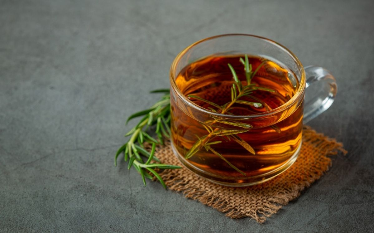 ¿Para qué sirve el té de romero? Estos son sus usos y beneficios (Foto: Freepik)