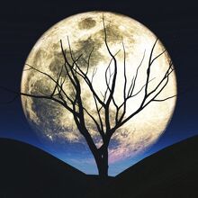 Calendario de eventos astronómicos de septiembre en México 2026 (Foto: Freepik)
