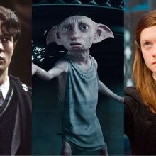 “Harry Potter”: HBO revela a los actores de Ginny, Dobby y Tom Riddle (Foto: 	Warner Bros.)