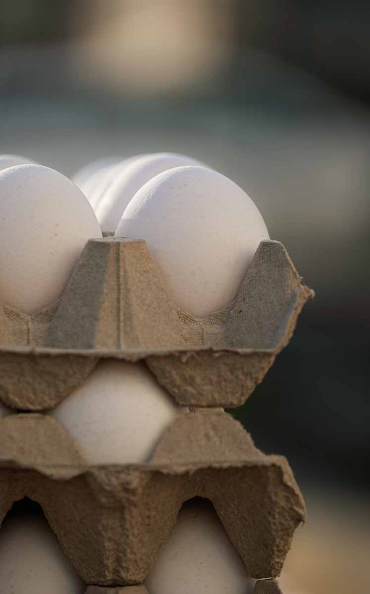 Entre la cáscara y las membranas que protegen al huevo se encuentra una cámara de aire que aparece de manera natural. (Foto: Pexels)