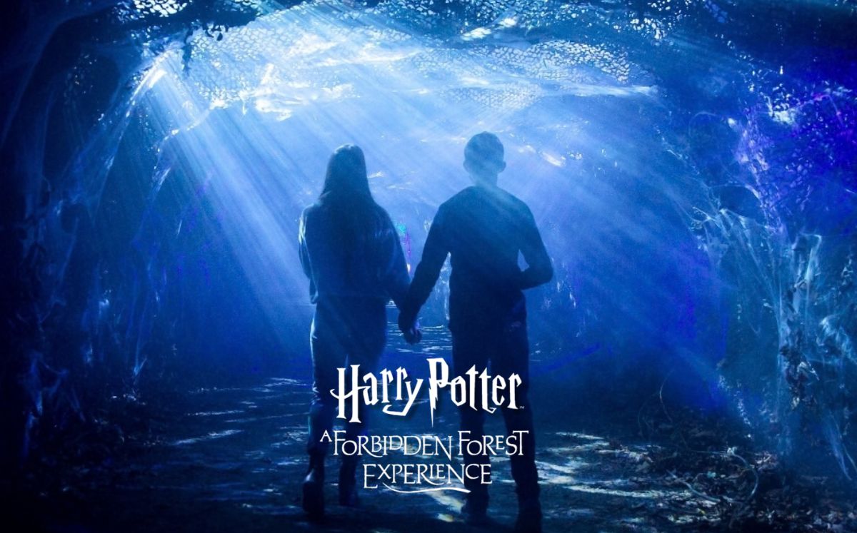 Experiencia del Bosque Prohibido de “Harry Potter” en México (Foto: IG @hpforbiddenforestexperience)
