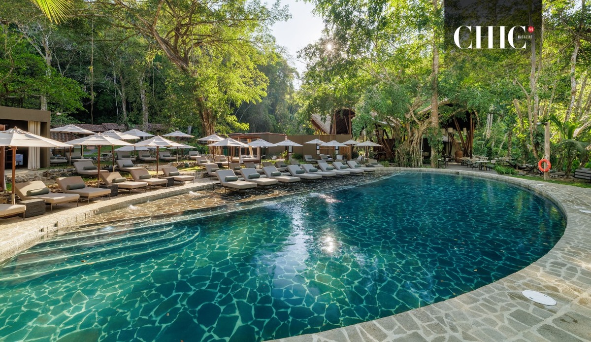 Una de las icónicas piscinas de Santa Lucia Jungle Hacienda, con camastros y sombrillas integrados bajo la densa vegetación tropical / Foto: Cortesía