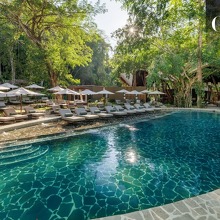 Una de las icónicas piscinas de Santa Lucia Jungle Hacienda, con camastros y sombrillas integrados bajo la densa vegetación tropical / Foto: Cortesía