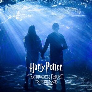 Experiencia del Bosque Prohibido de “Harry Potter” en México (Foto: IG @hpforbiddenforestexperience)