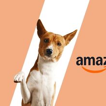 Amazon Pet Fest México: ¿cuándo y dónde será el evento? (Foto: Freepik/Amazon)