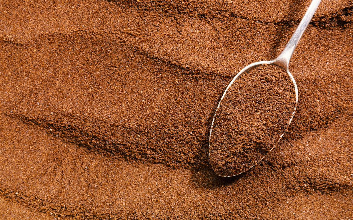 Estas son las mejores marcas de café soluble, según Profeco (Foto: Getty Images)