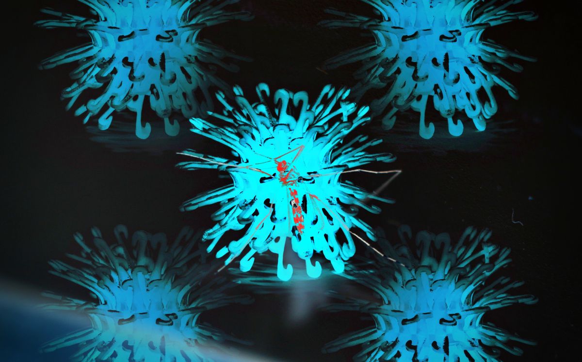 Virus del Nilo Occidental: qué es, cómo se contagia y síntomas (Foto: Getty Images)