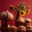 Amado: pastelería artesanal, panadería y chocolatería mexicana