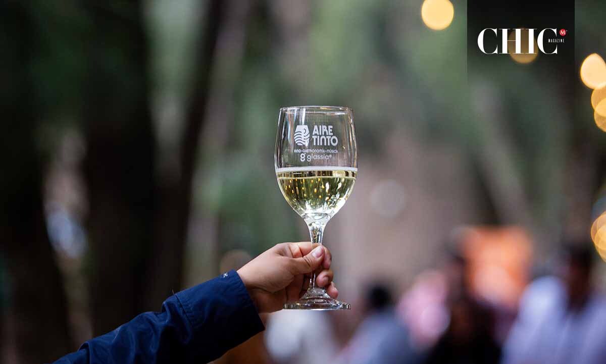 Aire Tinto permitió disfrutar desde el recorrido por el festival y las degustaciones hasta experiencias especiales